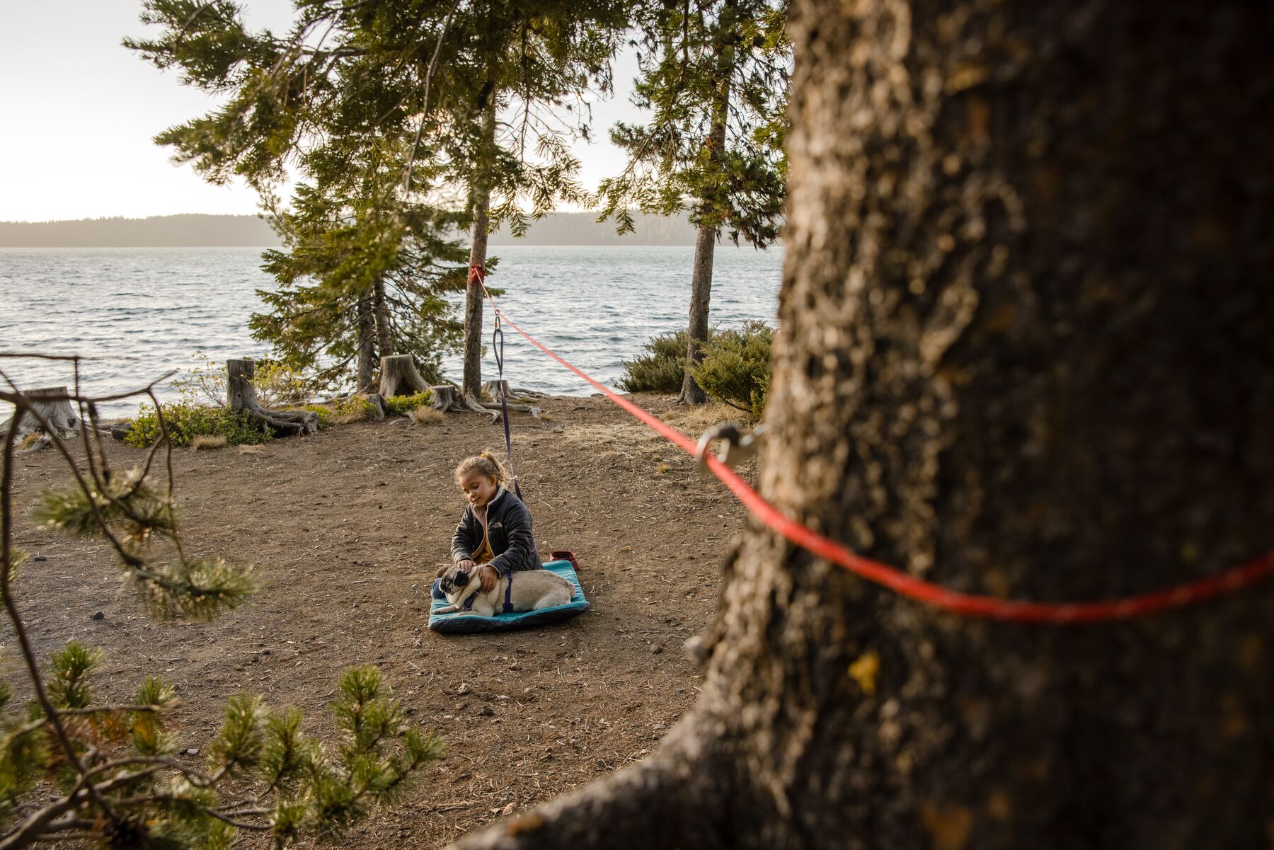 Ruffwear Knot-a-hitch - Image 11