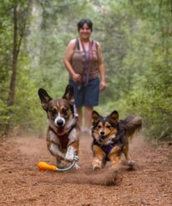 Ruffwear Gourdo - Image 5