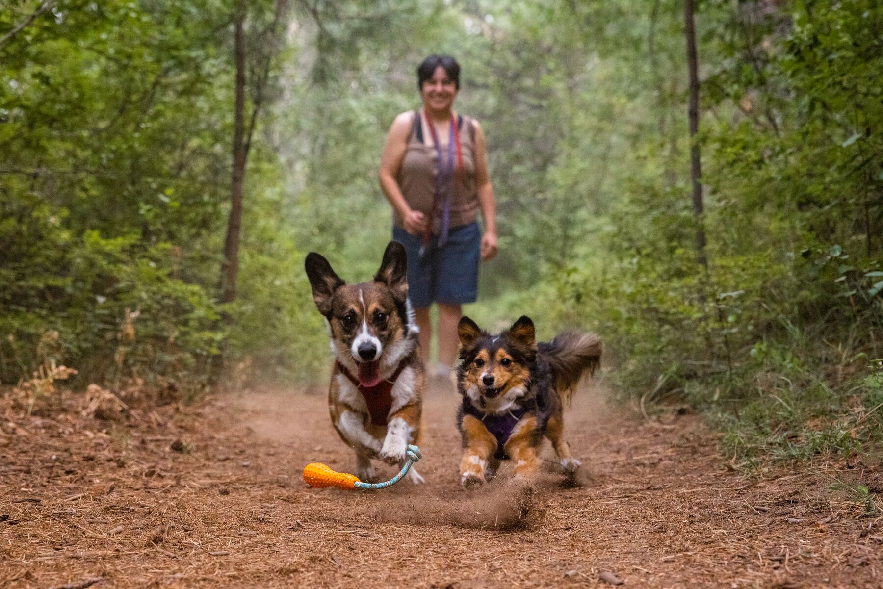 Ruffwear Gourdo - Image 5