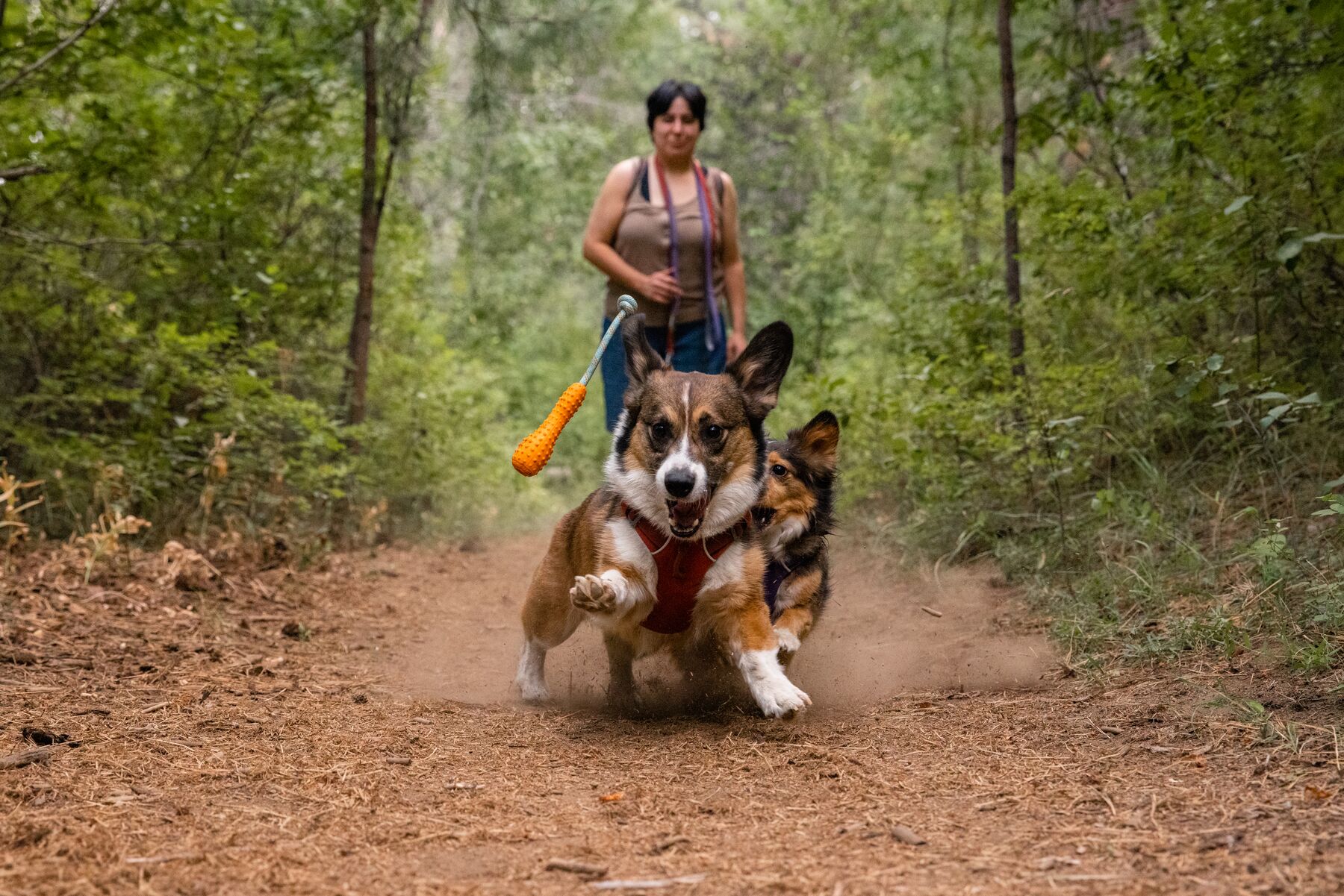 Ruffwear Gourdo - Image 6