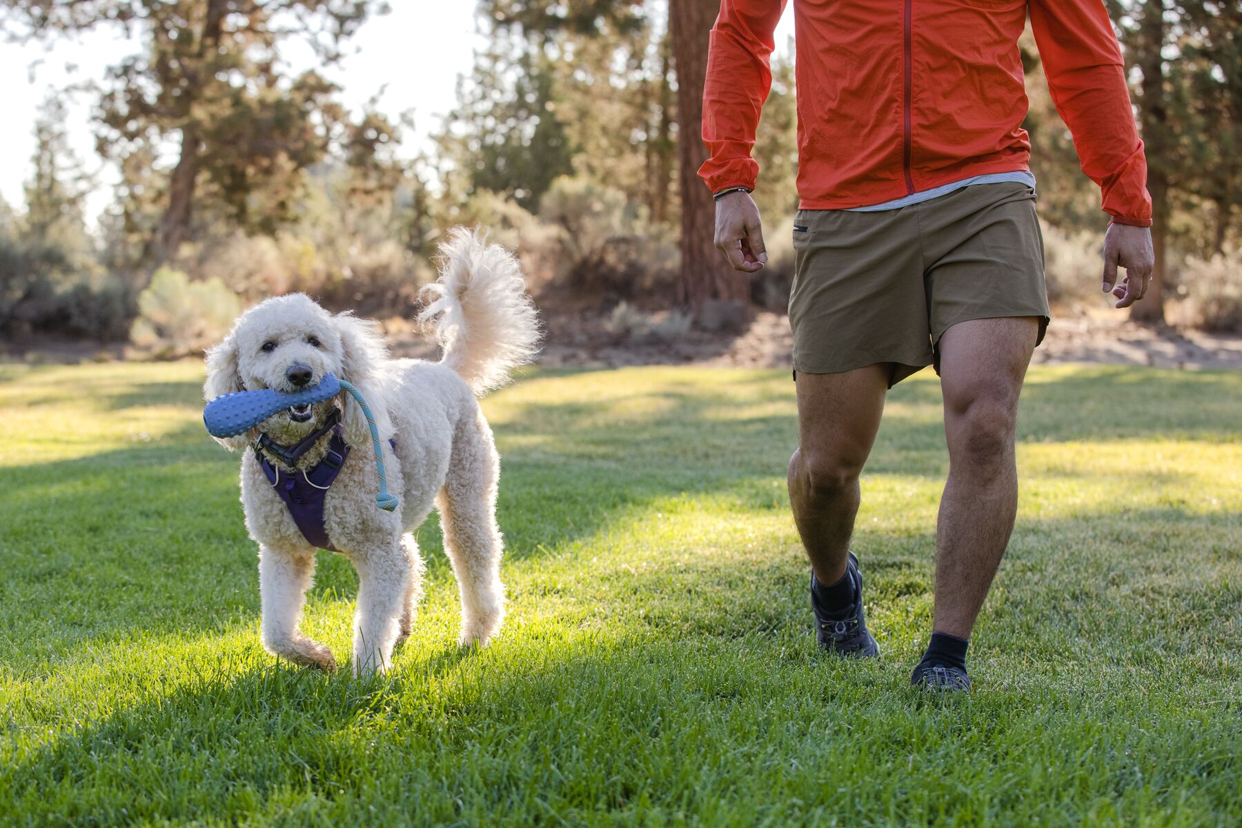 Ruffwear Gourdo - Image 8