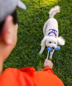 Ruffwear Gourdo - Image 7