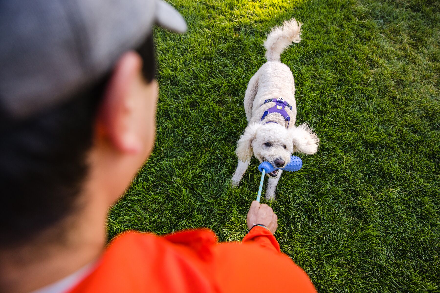 Ruffwear Gourdo - Image 7