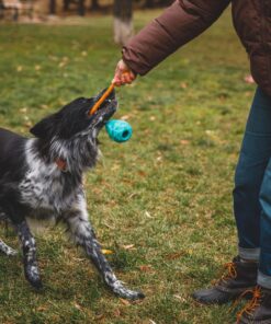Ruffwear Huck-a-cone - Image 7