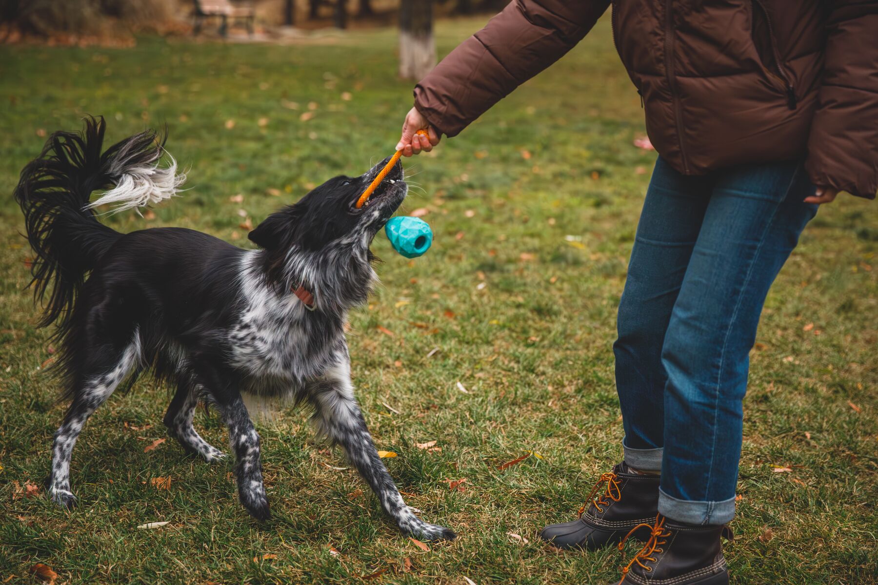 Ruffwear Huck-a-cone - Image 7