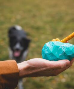 Ruffwear Huck-a-cone - Image 6