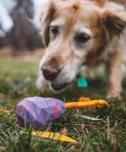 Ruffwear Huck-a-cone - Image 4