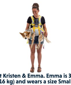 Ruffwear BackTrak™ Dog Evacuation Kit - Image 5