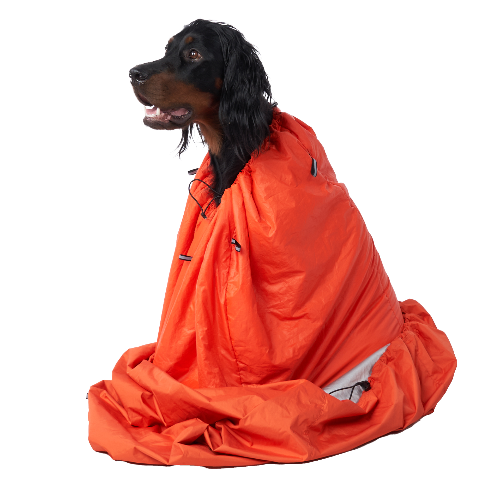 Non-stop Dogwear Protector bivvy bag - Image 3