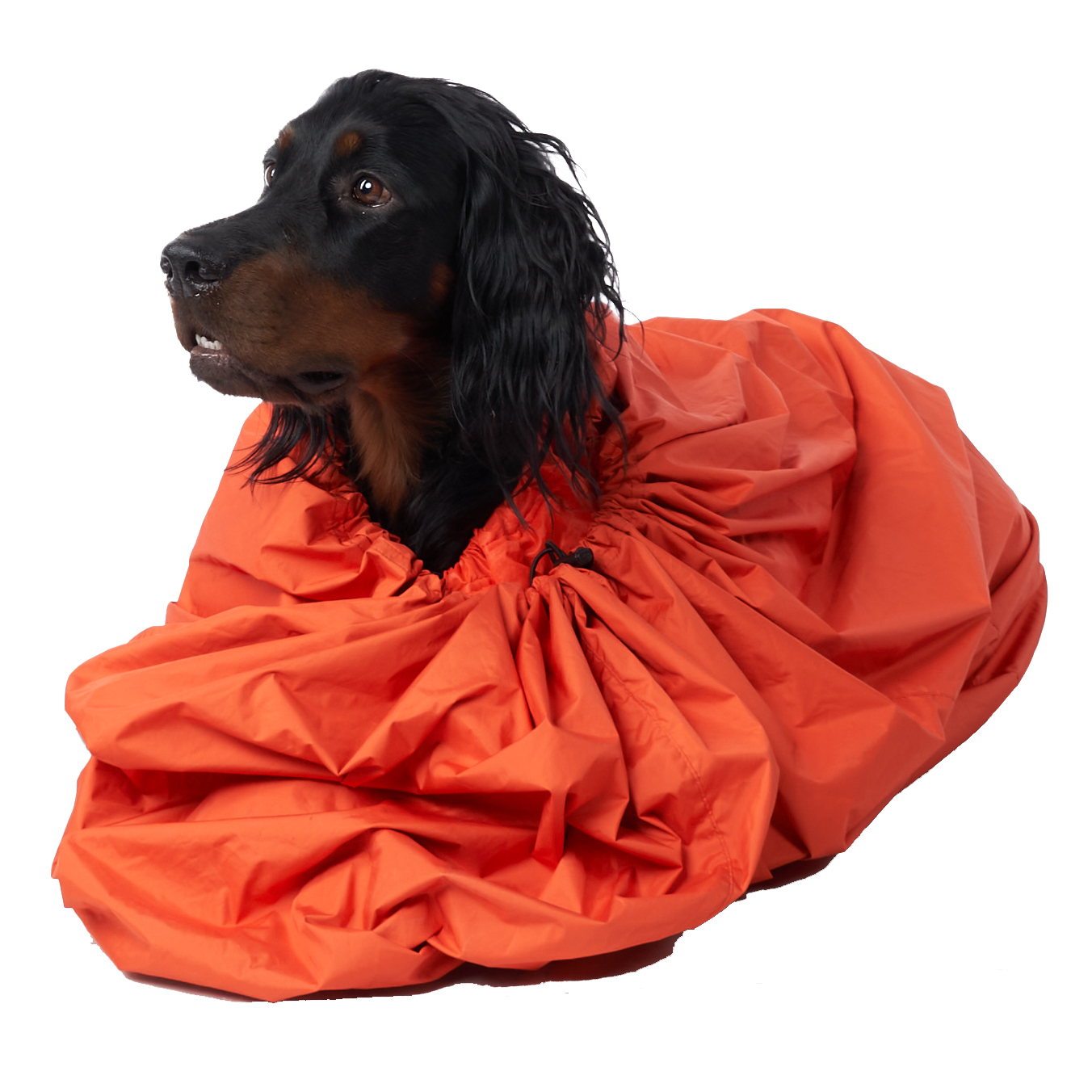Non-stop Dogwear Protector bivvy bag - Image 2