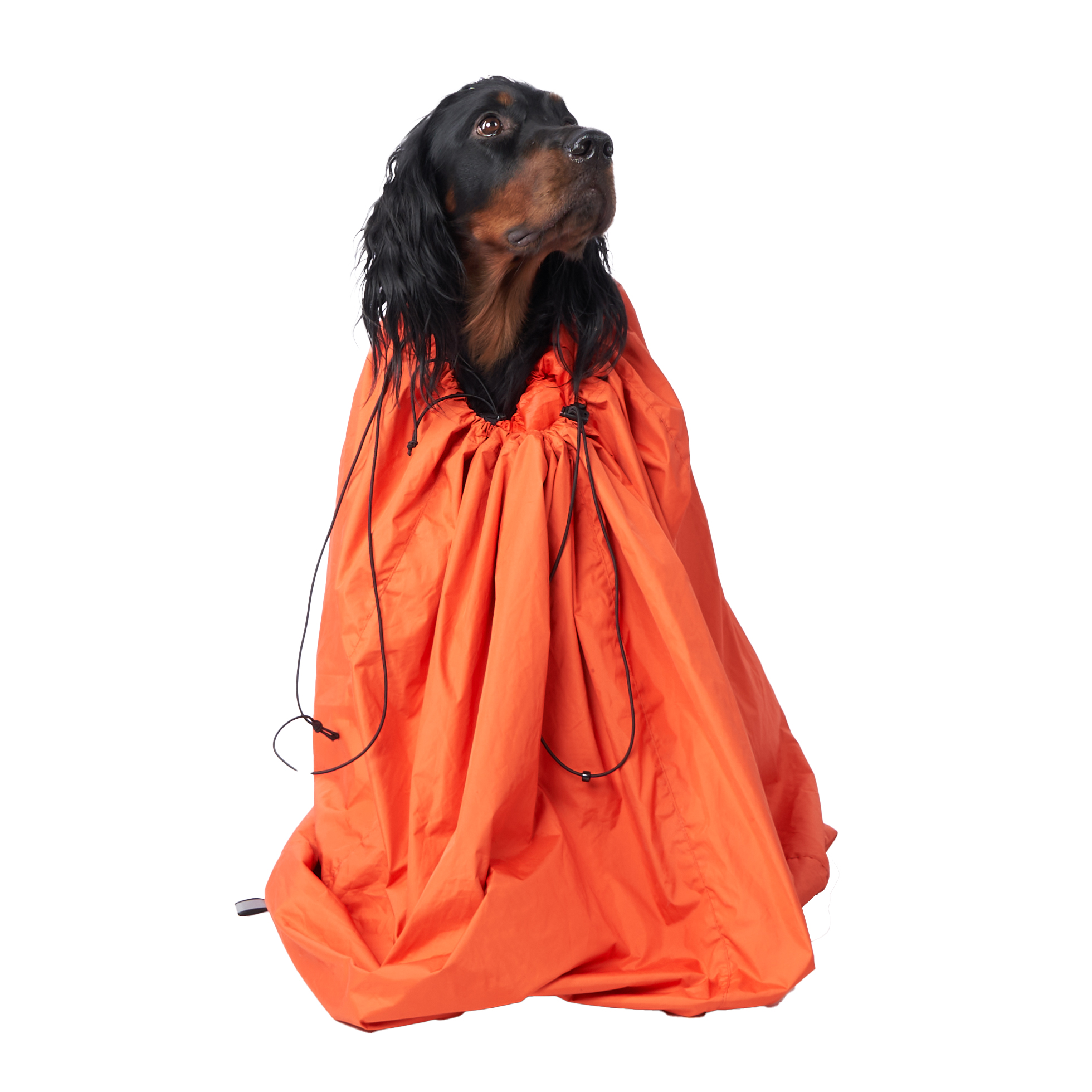 Non-stop Dogwear Protector bivvy bag