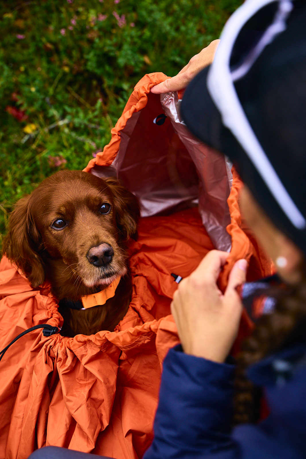 Non-stop Dogwear Protector bivvy bag - Image 8