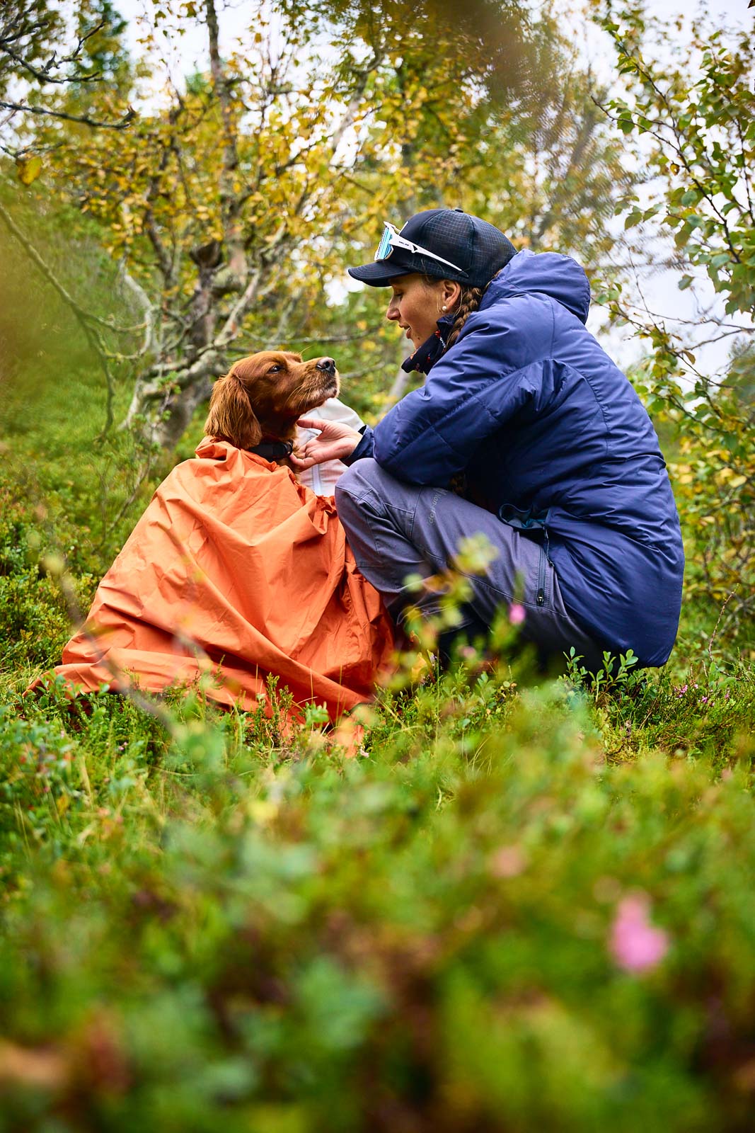 Non-stop Dogwear Protector bivvy bag - Image 7