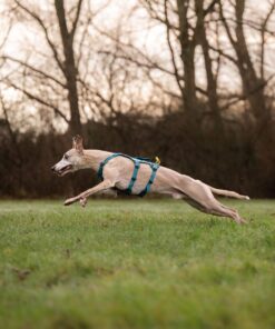 Non-stop Dogwear Ramble harness long - Image 5