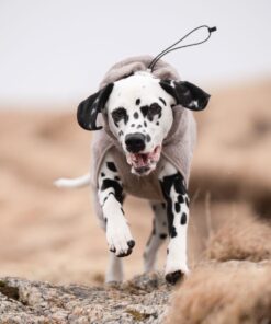 Non-stop Dogwear Drying coat - Image 5