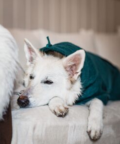 Non-stop Dogwear Drying coat - Image 15