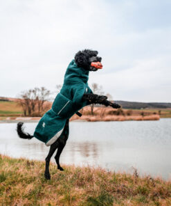 Non-stop Dogwear Drying coat - Image 20