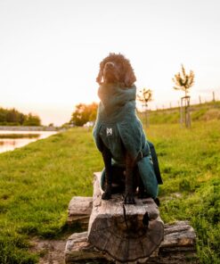 Non-stop Dogwear Drying coat - Image 21