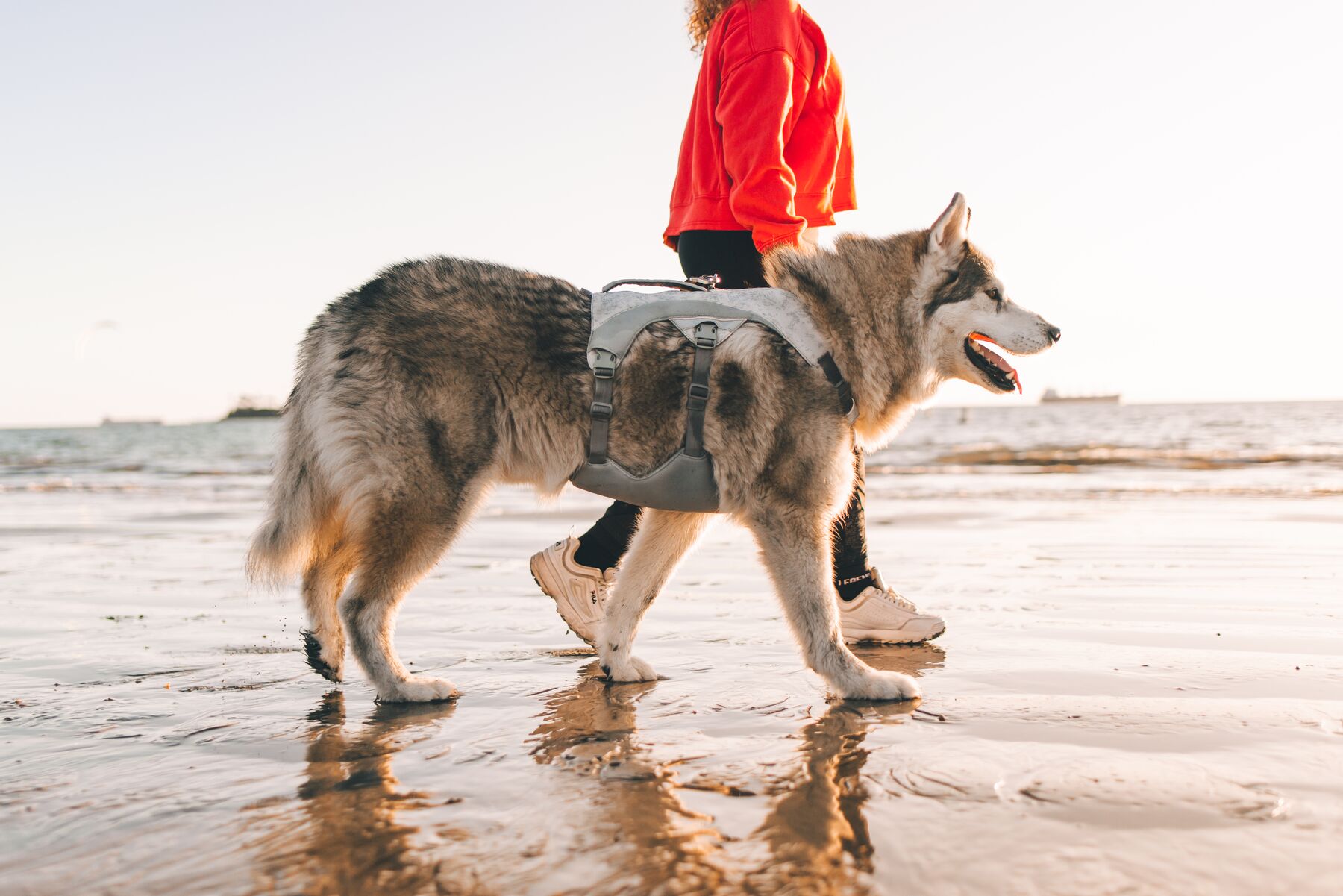 Ruffwear Swamp cooler kølevest - Image 12