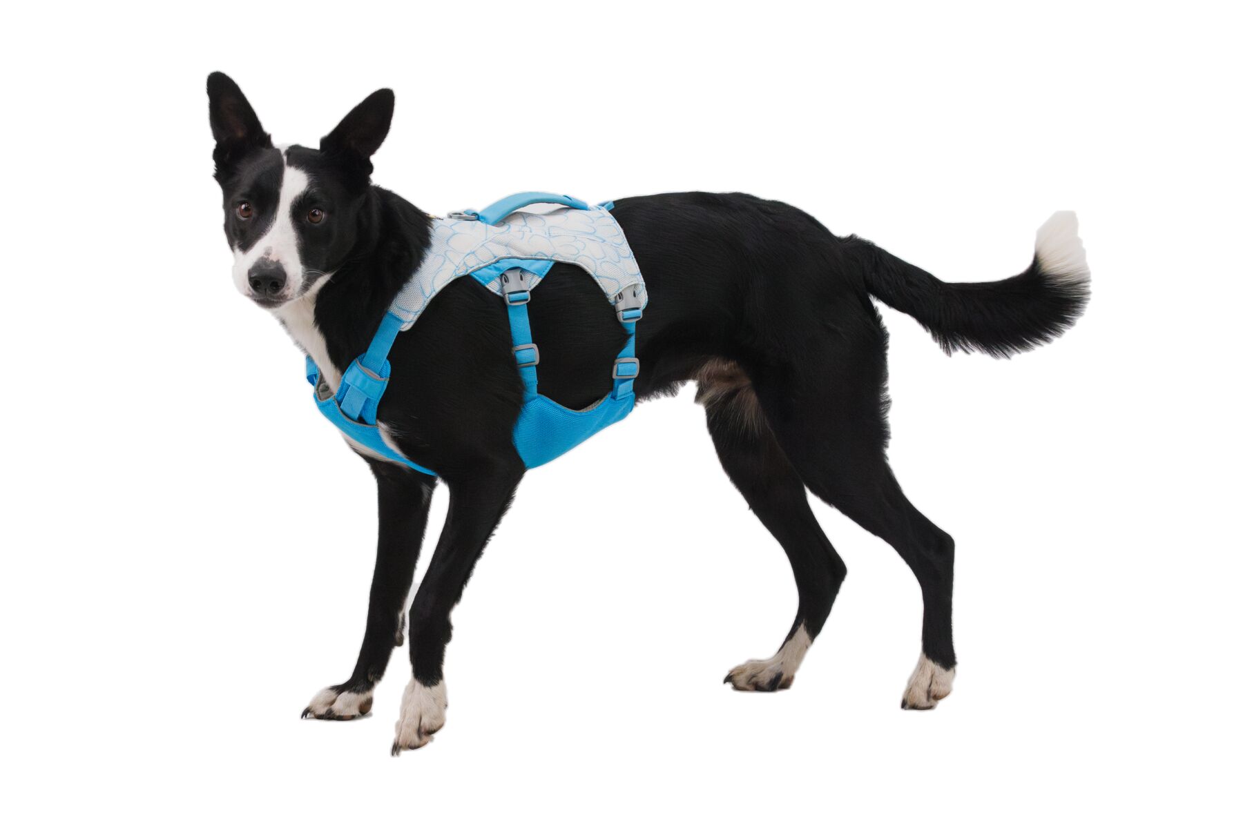 Ruffwear Swamp cooler kølevest - Image 6
