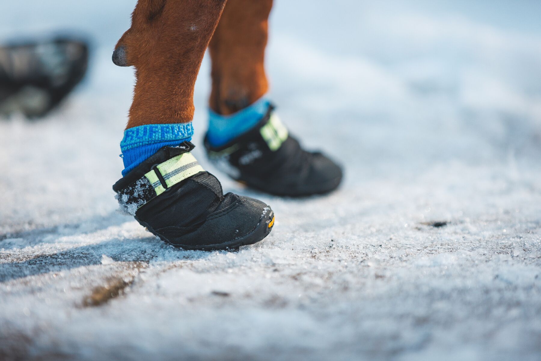 Ruffwear Bark'n Boot sokker - Image 7