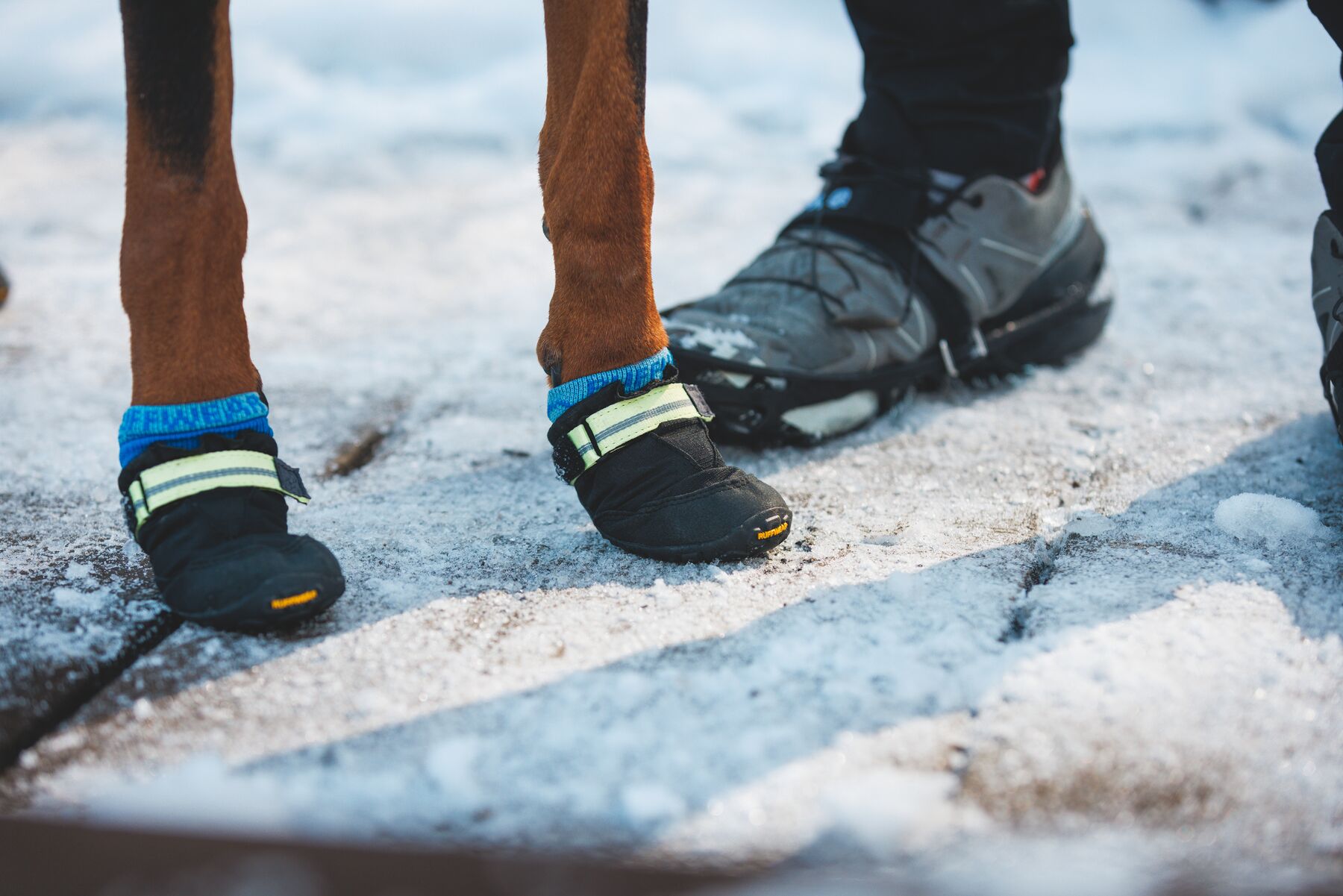 Ruffwear Bark'n Boot sokker - Image 8
