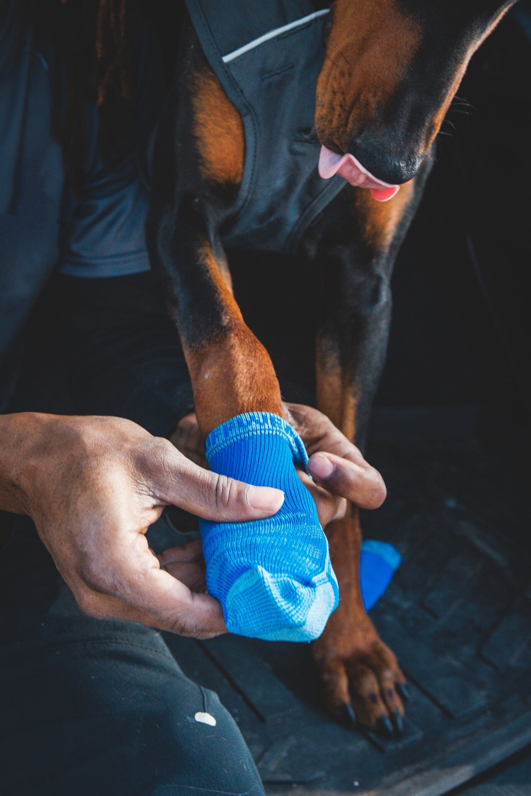 Ruffwear Bark'n Boot sokker - Image 5