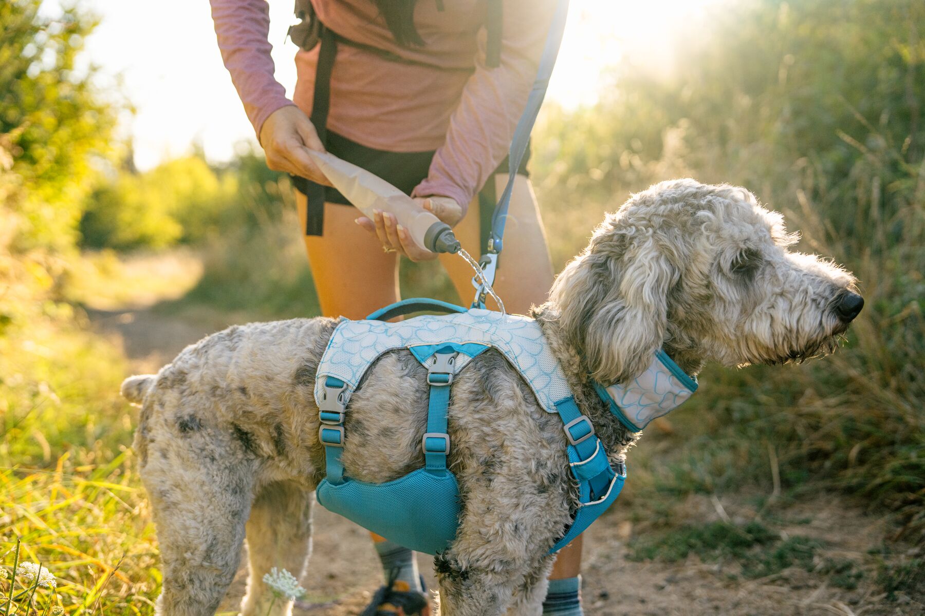 Ruffwear Swamp cooler kølevest - Image 8