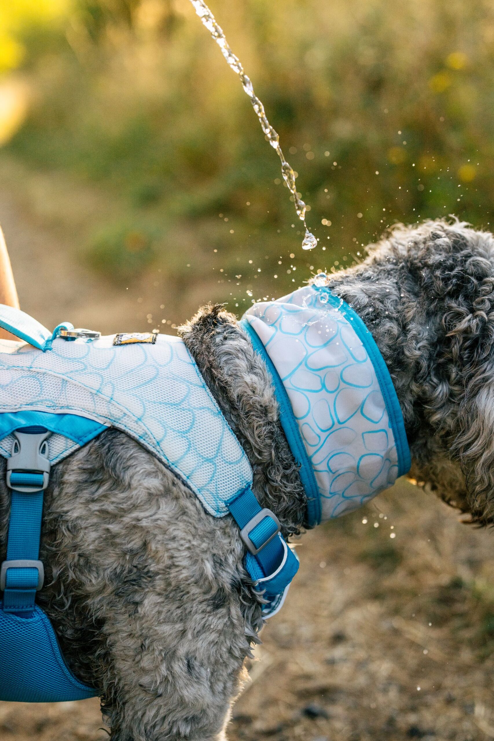 Ruffwear Swamp cooler kølevest - Image 10