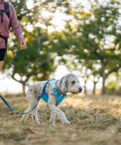 Ruffwear Swamp cooler kølevest - Image 7