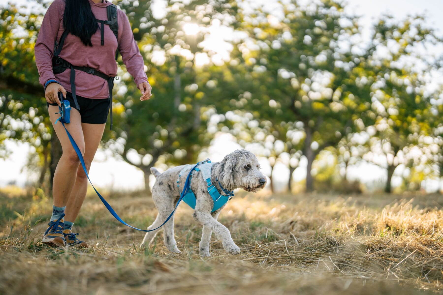 Ruffwear Swamp cooler kølevest - Image 7