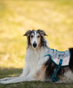 Non-stop Dogwear cooling vest - Image 4