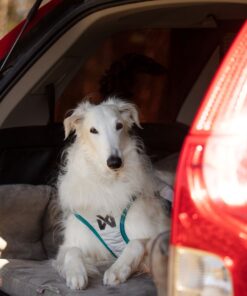 Non-stop Dogwear cooling vest - Image 3