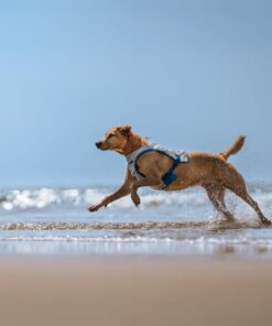 Non-stop Dogwear cooling vest - Image 6