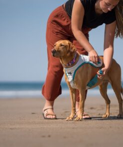 Non-stop Dogwear cooling vest - Image 5