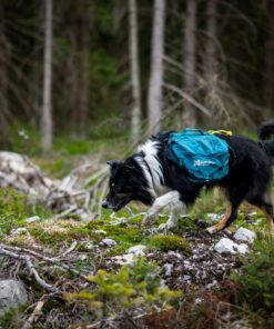 Non-stop Dogwear Trail Quest dog backpack - Image 3
