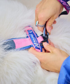 Non-stop Dogwear Line Harness 5.0 Rachel Pohl edition - Image 11