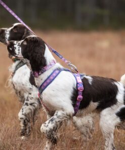 Non-stop Dogwear Line Harness 5.0 Rachel Pohl edition - Image 5