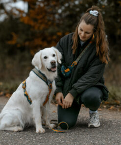 Non-stop Dogwear Line Harness 5.0 Rachel Pohl edition - Image 4