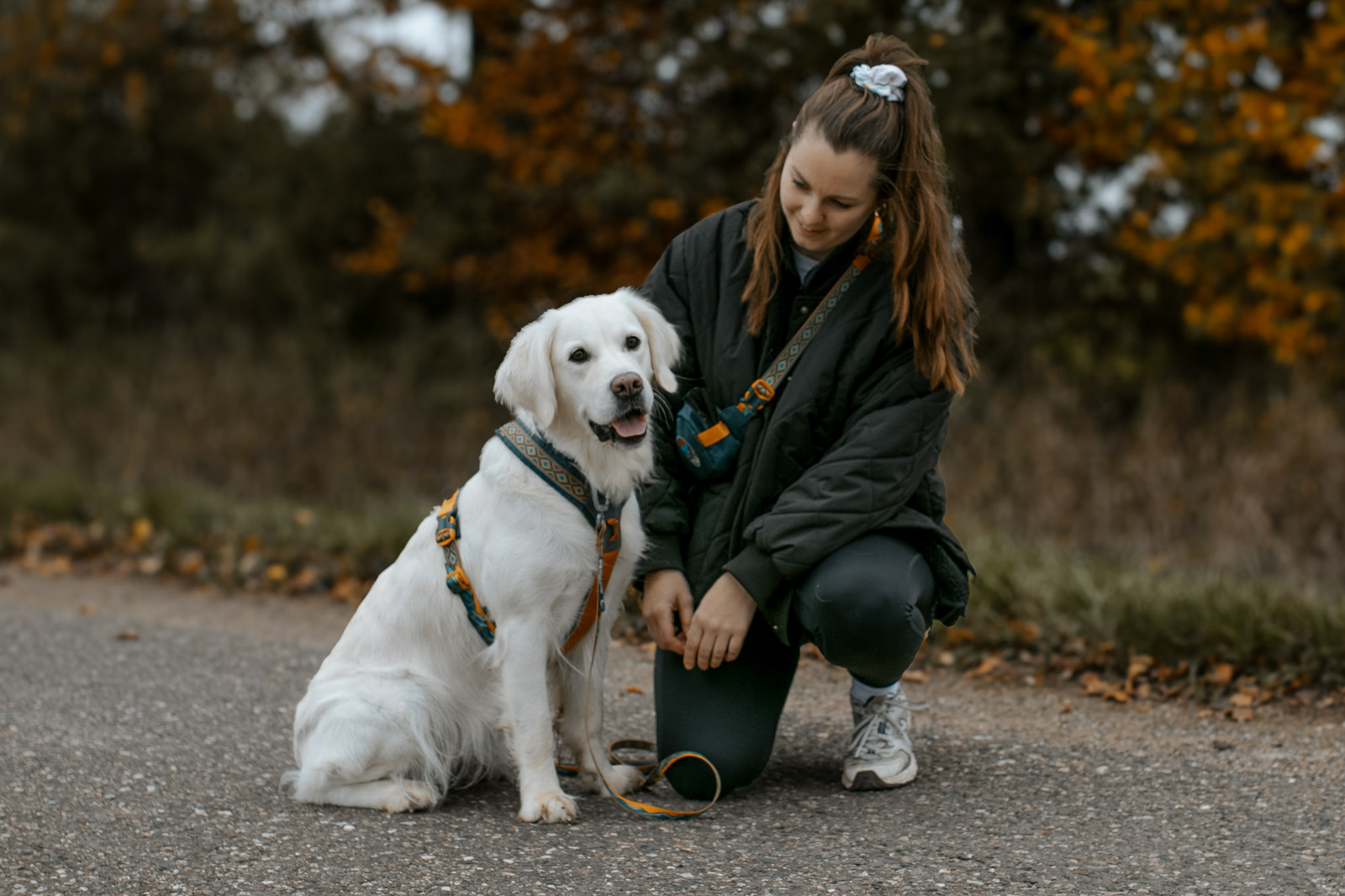 Non-stop Dogwear Line Harness 5.0 Rachel Pohl edition - Image 4