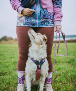 Non-stop Dogwear Trail quest leash Rachel Pohl edition - Image 5