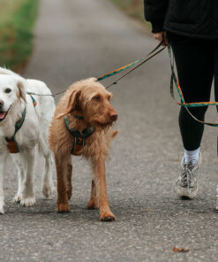 Non-stop Dogwear Trail quest leash Rachel Pohl edition - Image 4