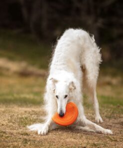 Alternative view of Non-stop Dogwear Flying Disc