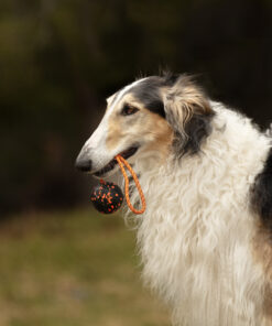 Non-stop Dogwear bold med reb - Image 4