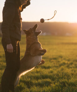 Non-stop Dogwear bold med reb - Image 5