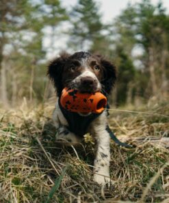 Alternative view of Non-stop Dogwear throw toy