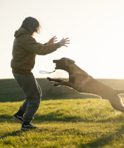 Non-stop Dogwear bold med reb - Image 6