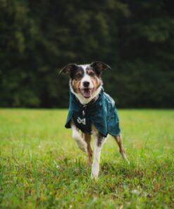 Alternative view of Non-stop Dogwear Fjord lined raincoat