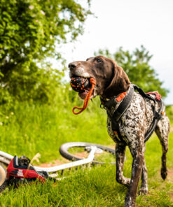 Non-stop Dogwear bold med reb - Image 7