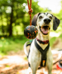 Non-stop Dogwear bold med reb - Image 8